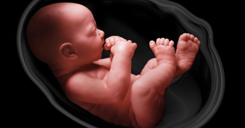 kedudukan bayi dalam kandungan