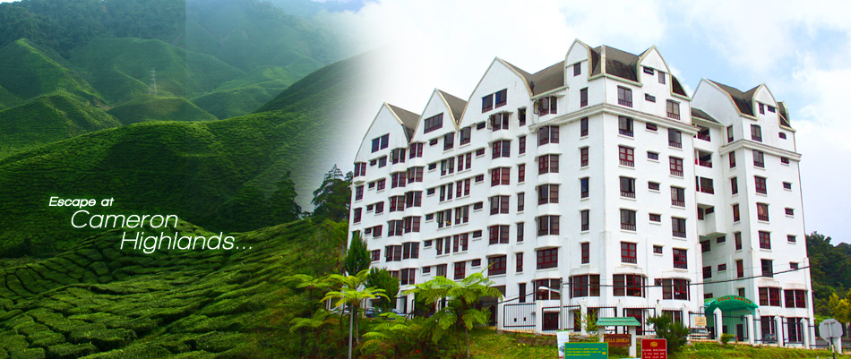 homestay di cameron