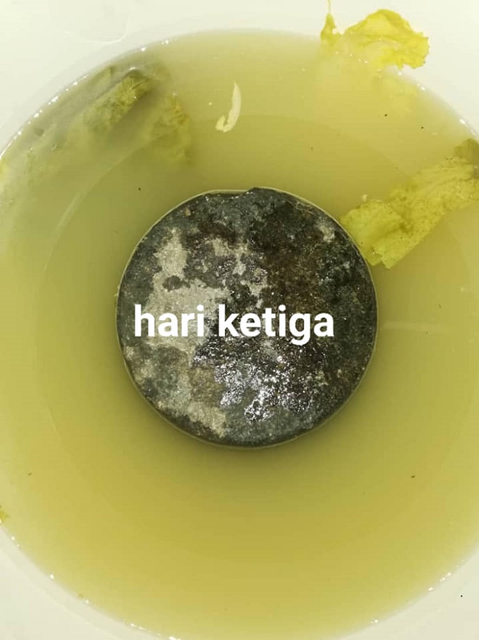 Proses memasak sawi jeruk