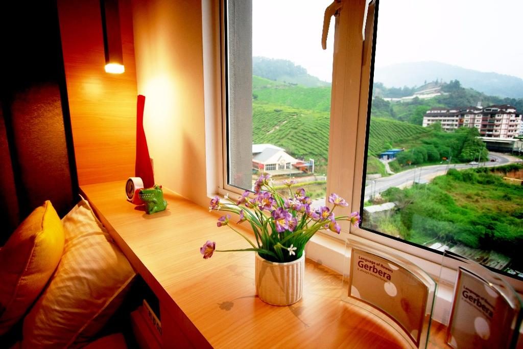homestay di cameron