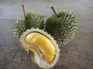 jenis durian