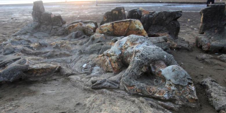 Gambar batu yang berbentuk manusia di pantai berkaitan kisah Si Tanggang atau Malim Kundang.