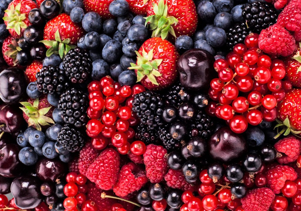 Tandan berry segar berwarna merah dan biru