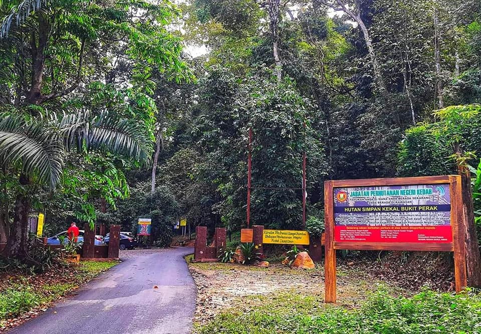 Kawasan hutan rimba Bukit Perak