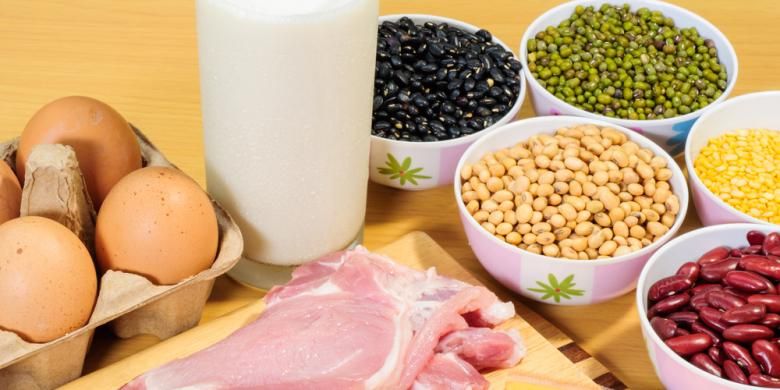 sumber protein