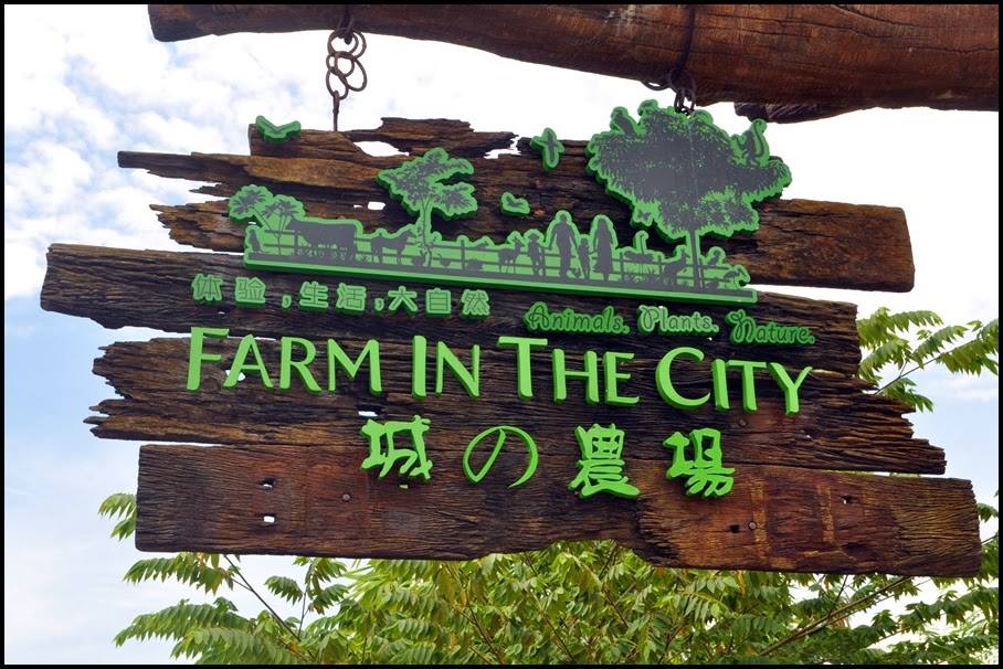 Haiwan jinak di Farm In The City