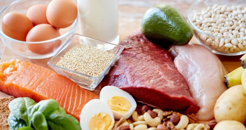 makanan protein