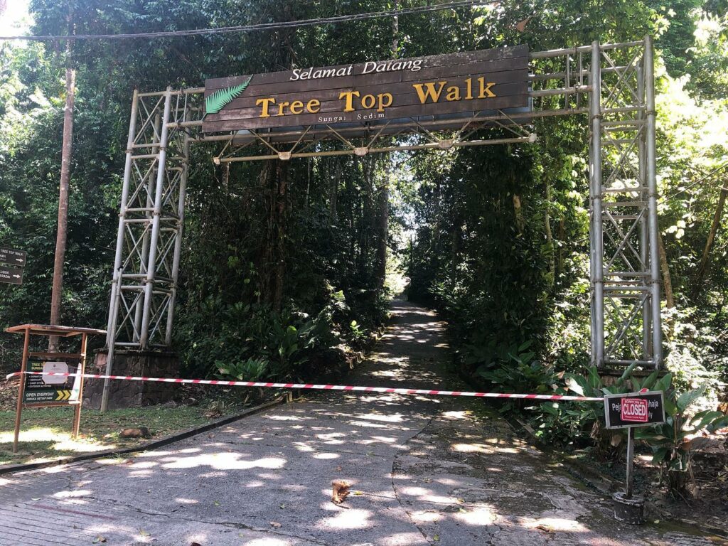 Jambatan canopy Tree Top Walk Sungai Sedim