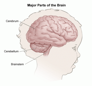 Bayi sedang bermain bagi merangsang perkembangan cerebellum
