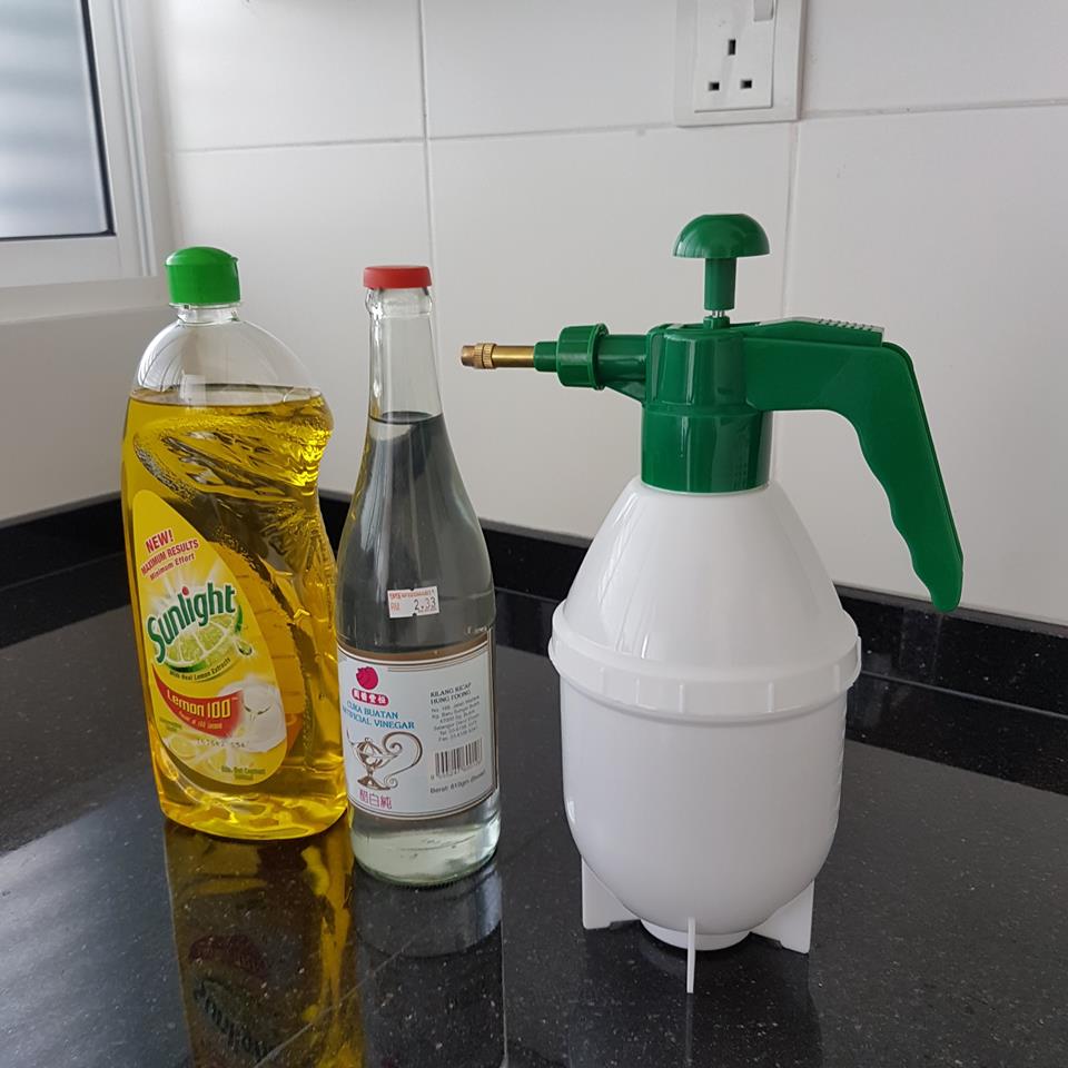 Botol penyembur racun organik buatan sendiri untuk tanaman
