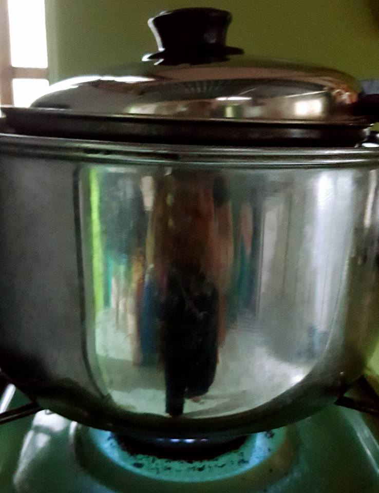 resepi minyak urut
