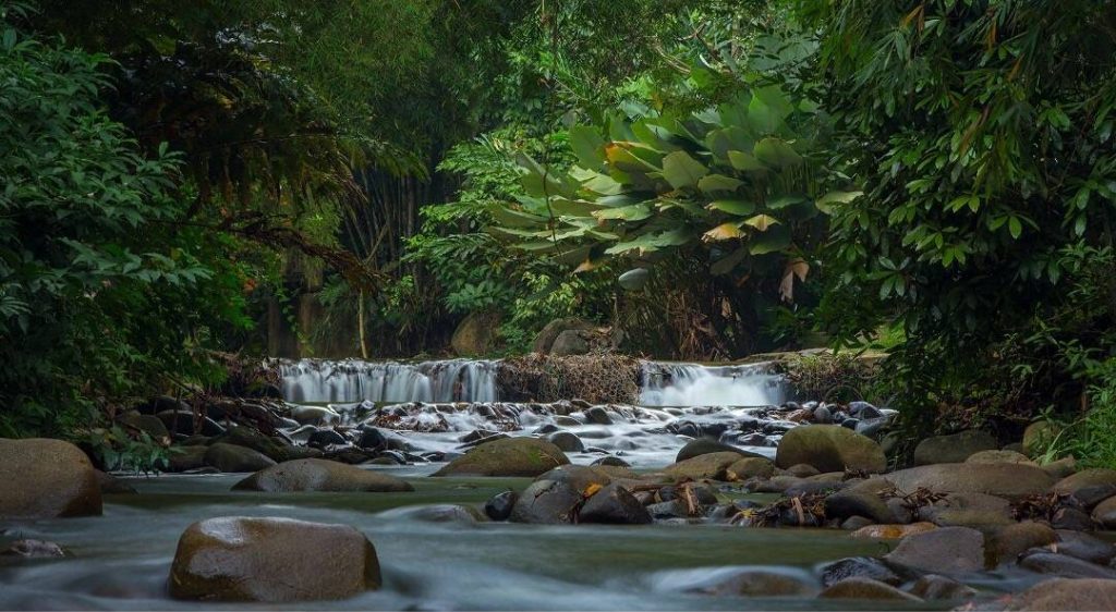 tempat menarik di janda baik