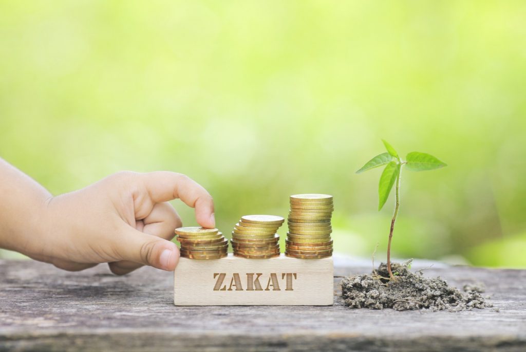 zakat pendapatan