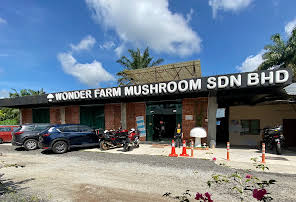 Wonder Farm Mushroom