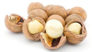 jenis kacang