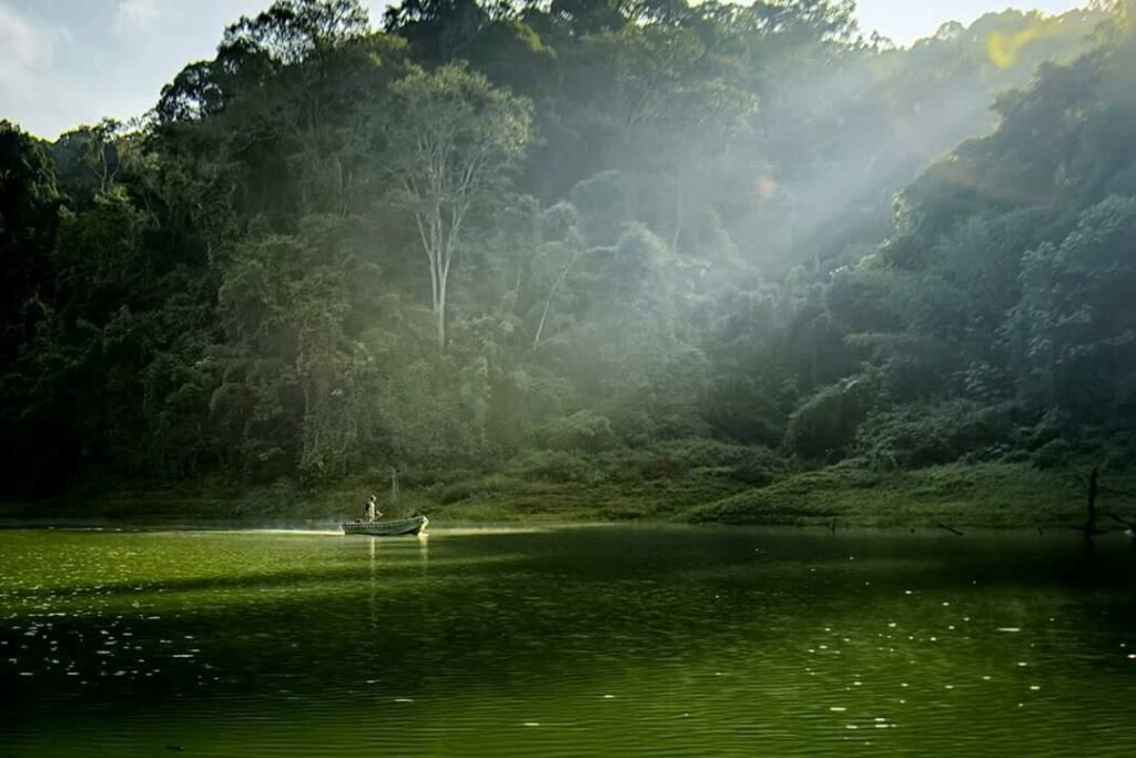 Landscape dan kehijauan alam semula jadi Tasik Pedu