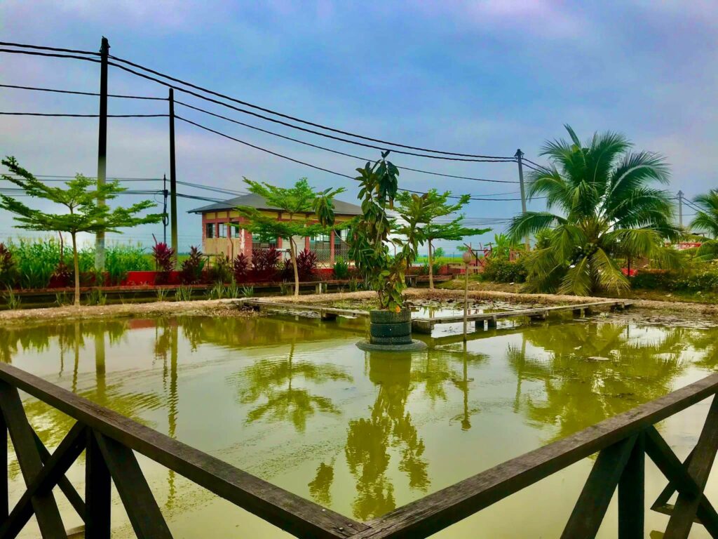 Pertanian dan landskap di MARDI Tanjong Karang