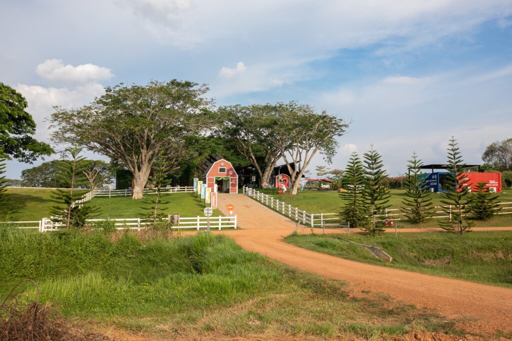 Padang ragut lembu di The Acre Farm Fresh UPM