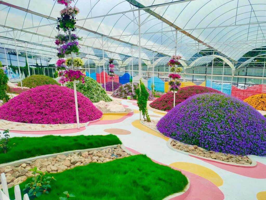 Pertunjukan produk dan tumbuhan di Agro Market Cameron Highlands