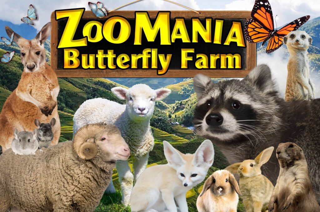 Kupu-kupu terbang di Zoomania Butterfly Farm Cameron Highlands