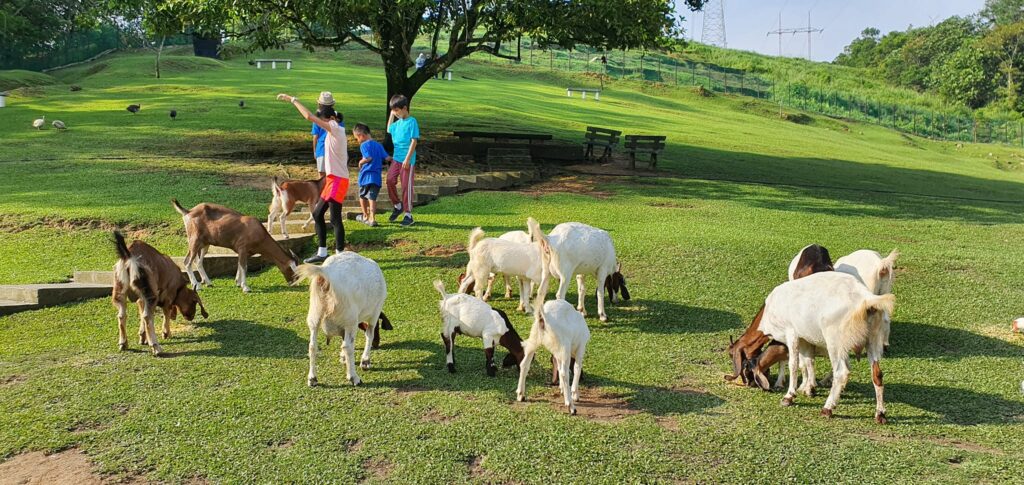 Suasana hijau Bukit Jelutong Eco Community Park