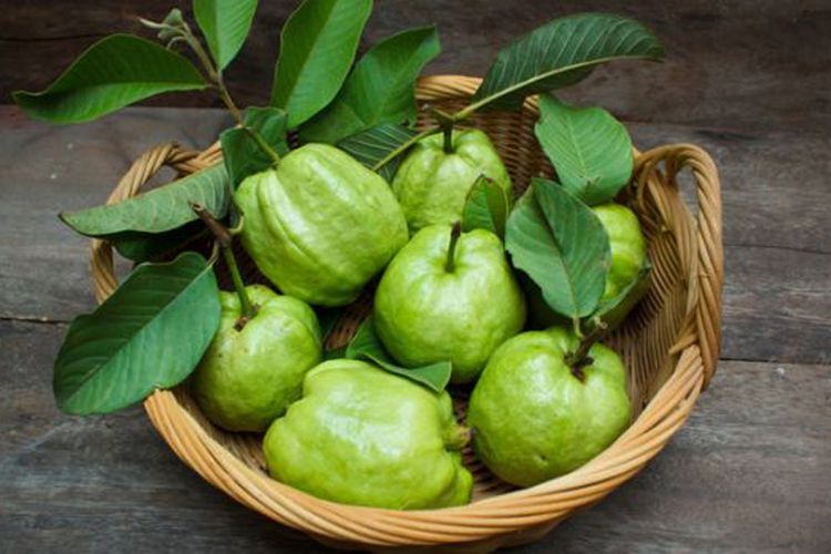 makanan tambah susu
