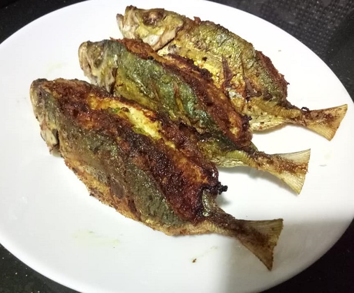 ikan sumbat