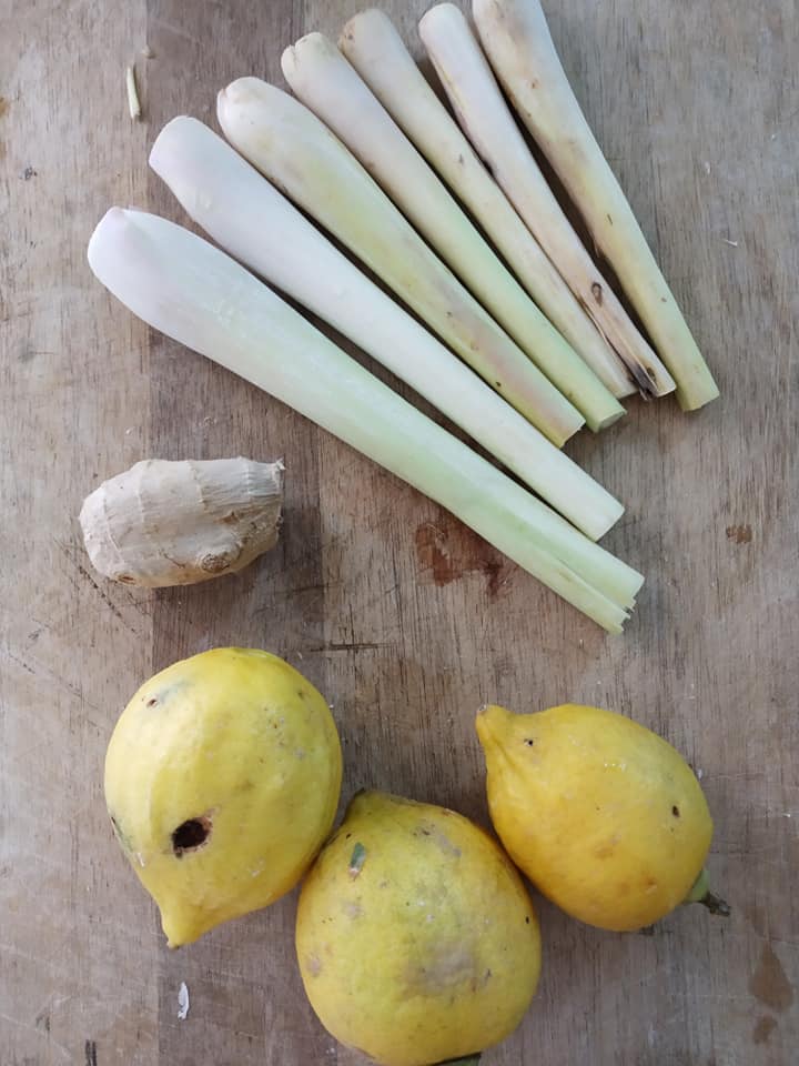 Gambar bahan dan air rebusan antioxidant boost daripada halia, serai dan lemon