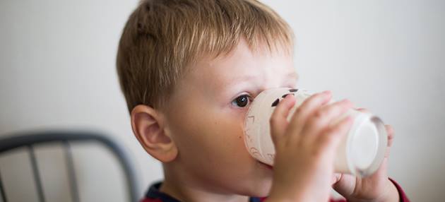 Tips latih anak umur 2 tahun ke atas makan makanan biasa kurangkan susu formula