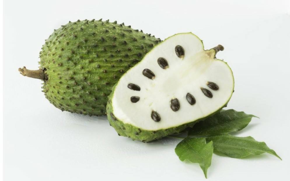 Gambar perbandingan khasiat buah durian belanda dengan kunyit hitam untuk mencegah kanser.