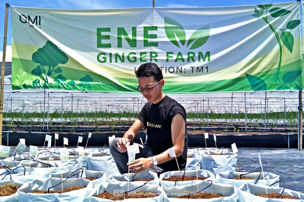 Tempat menarik di tanjung malim