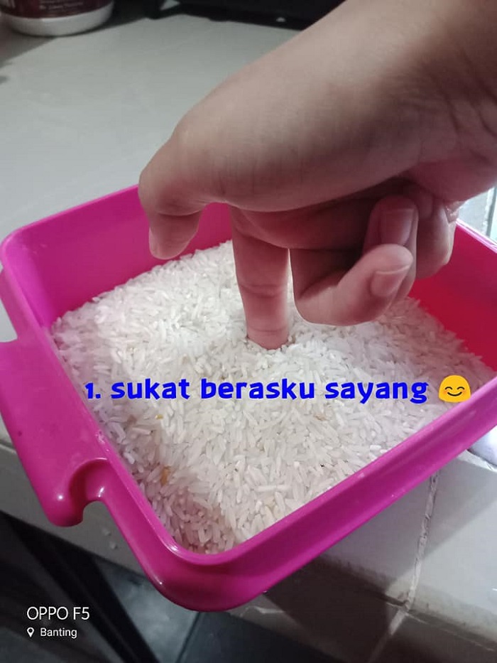nasi kukus