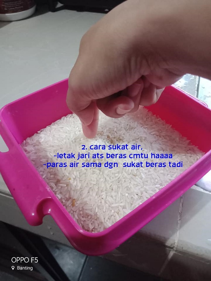 nasi kukus