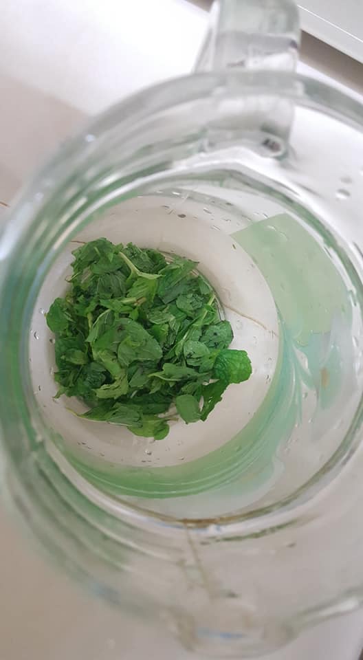 resepi air mojito
