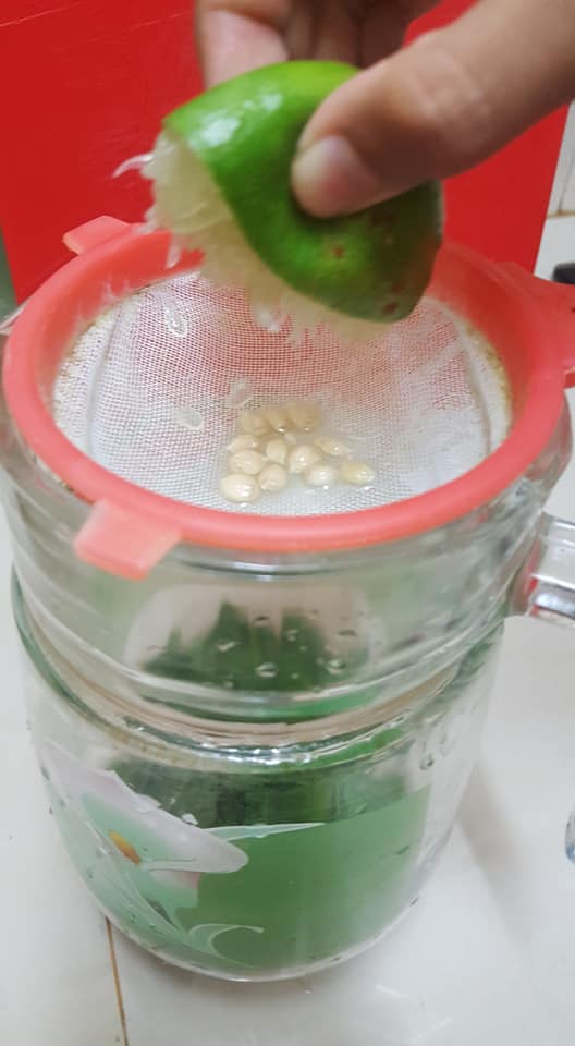 resepi air mojito