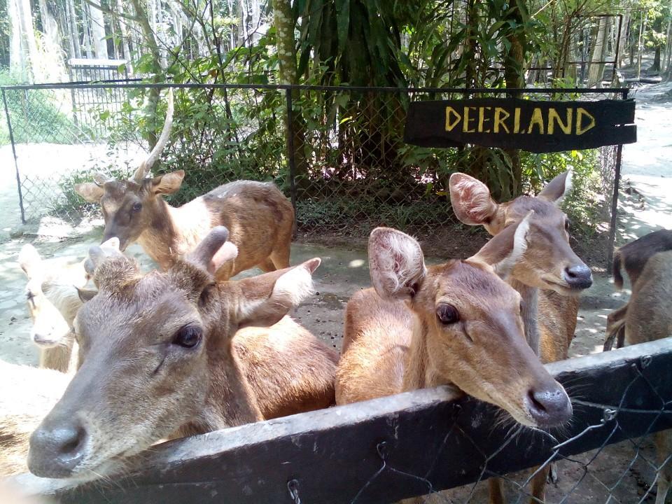 tempat menarik di temerloh
