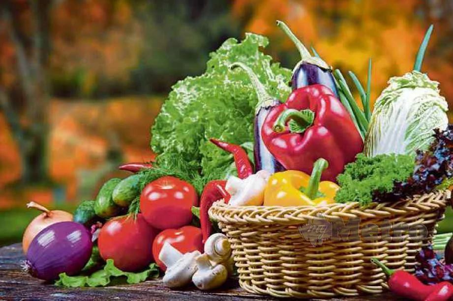 jenis kumpulan makanan untuk kesuburan