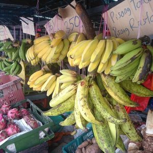 jenis pisang