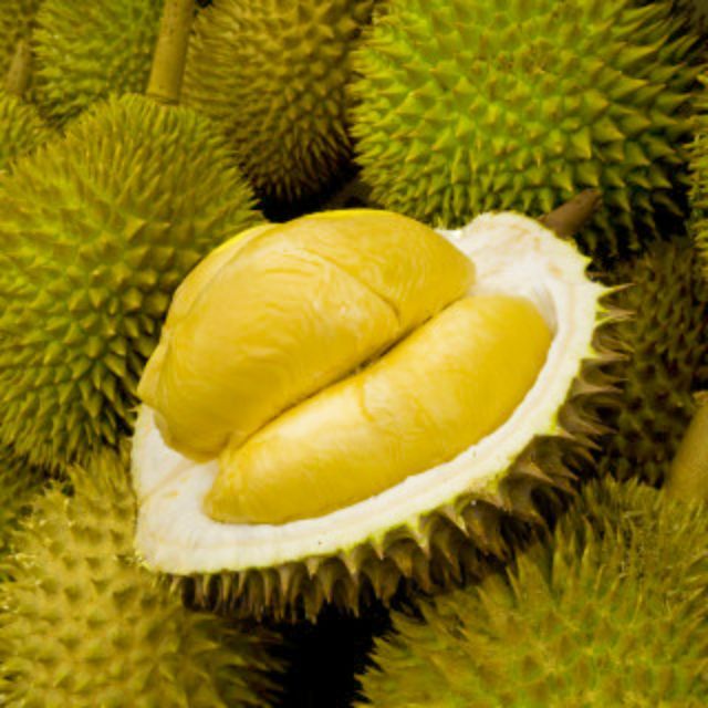 Pelbagai jenis durian tempatan yang terkenal dan sedap di Malaysia.
