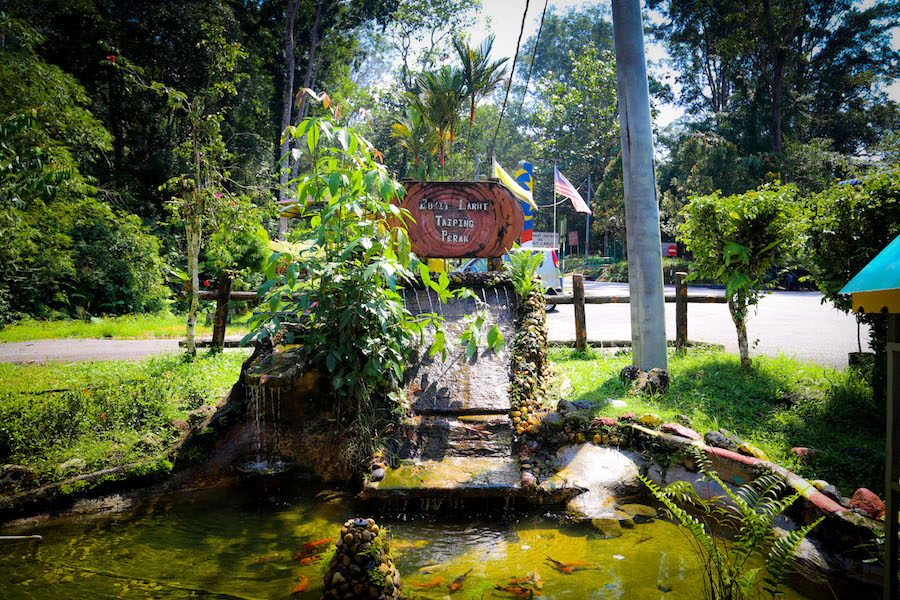 Bukit Larut @ Maxwell Hill