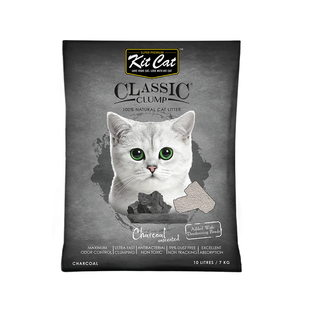 pasir kucing terbaik