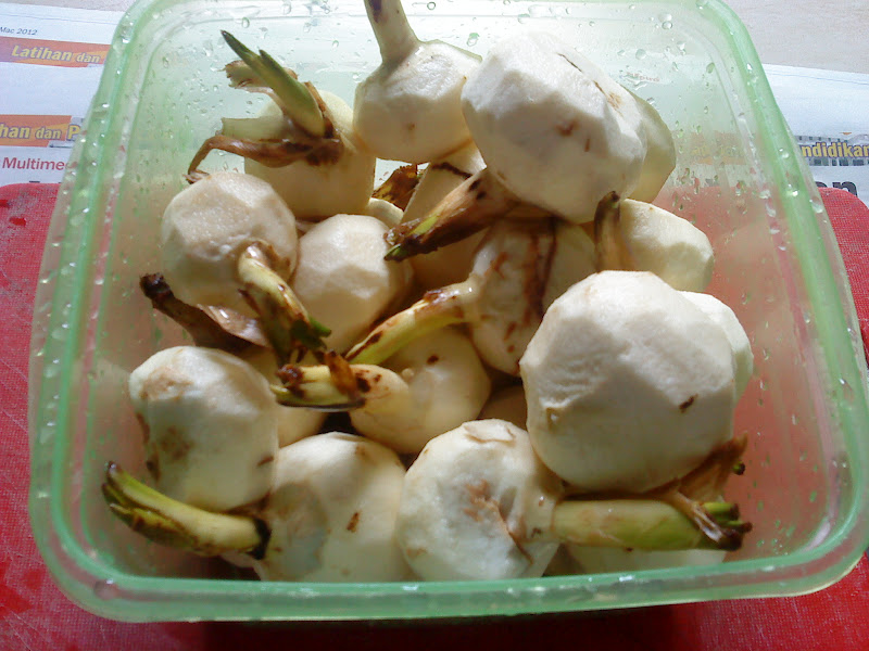petua hilangkan kuning bayi