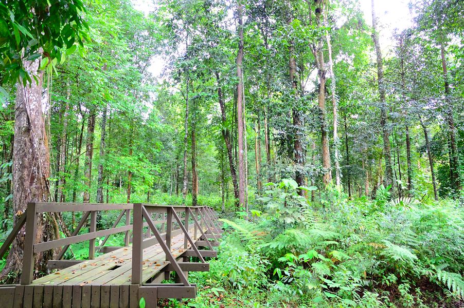 tempat menarik di kota tingi