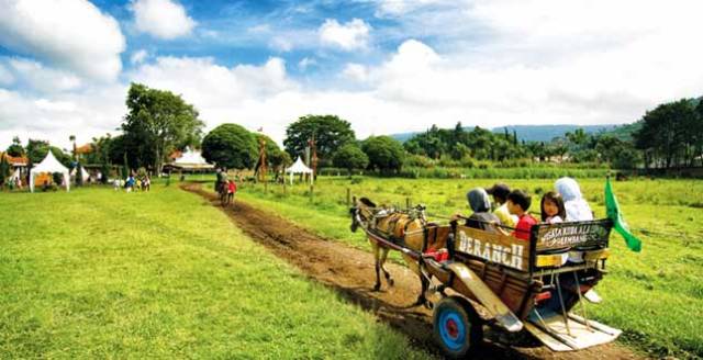 Aktiviti lumba kuda di De Ranch Lembang