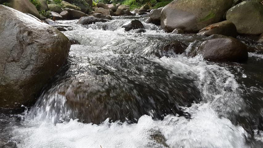 tempat menarik di janda baik