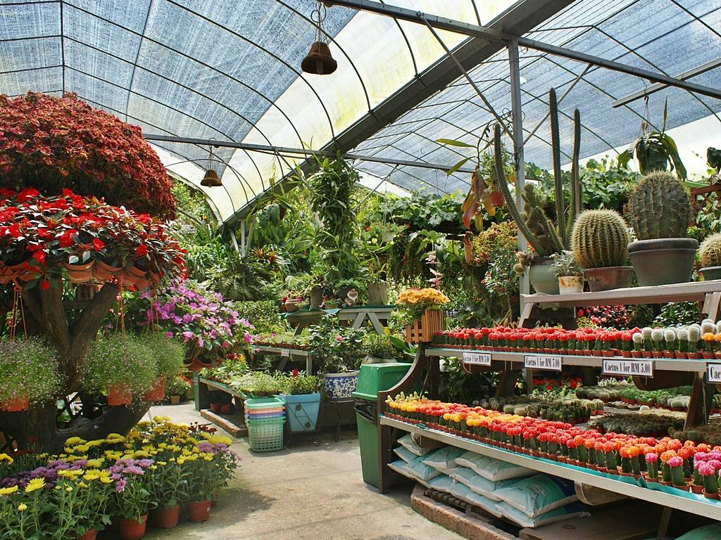 Fragrance Nursery