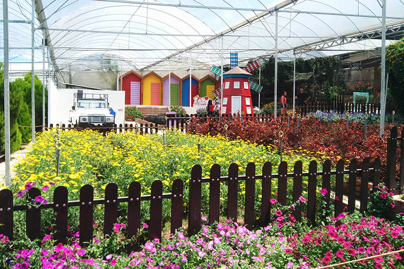 Green View Garden