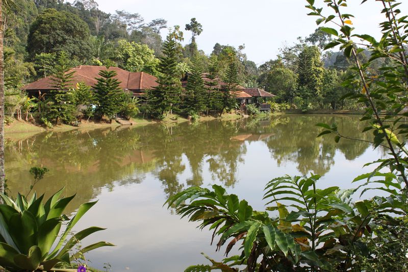 tempat menarik di janda baik