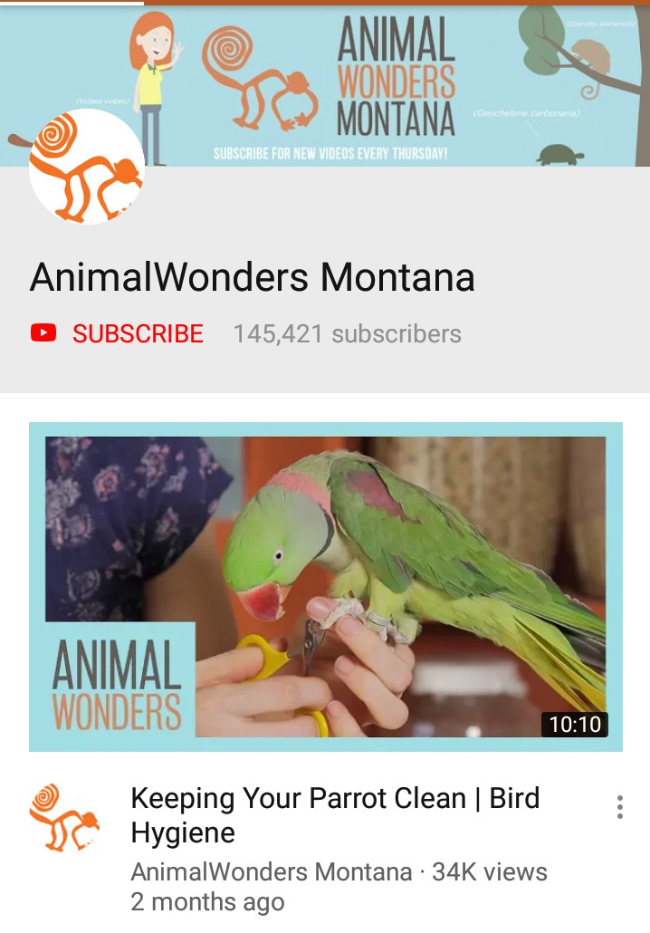 Saluran YouTube Animal Wonder Montana