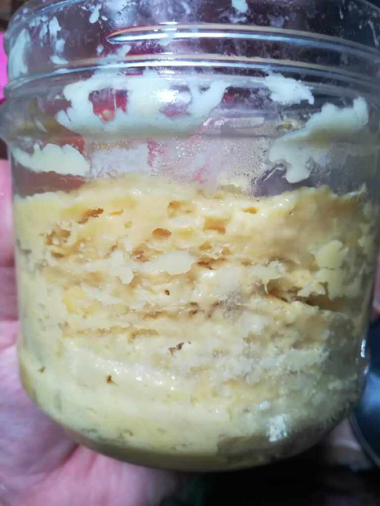 Tempoyak sebagai sumber makanan probiotik semula jadi